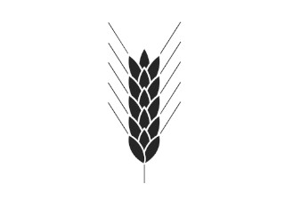 Binkelweizen Ähren nahaufnahme