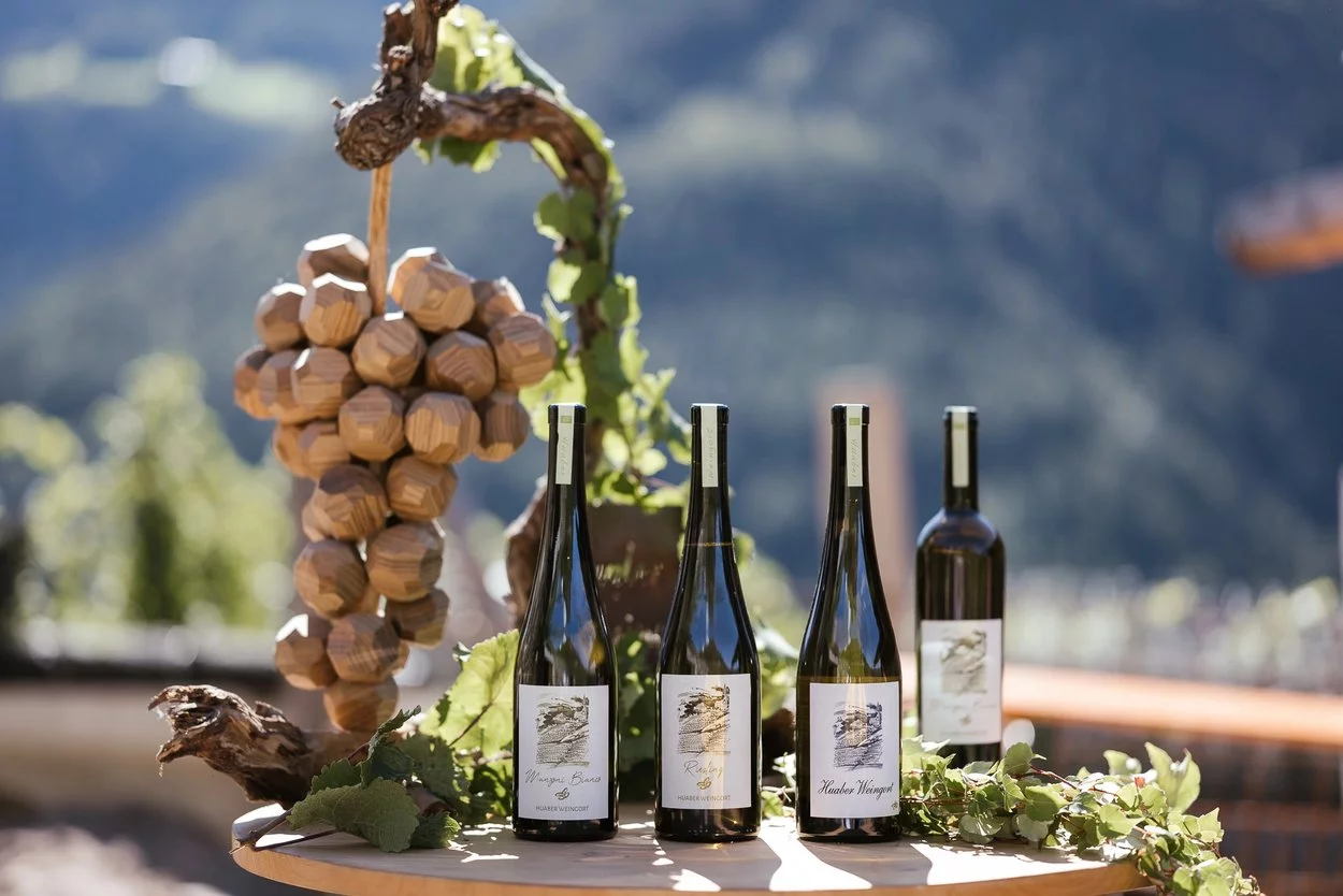 Weinbau am Hof